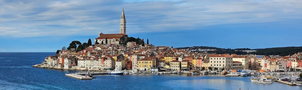 EDI u Rovinju_pogled na Rovinj