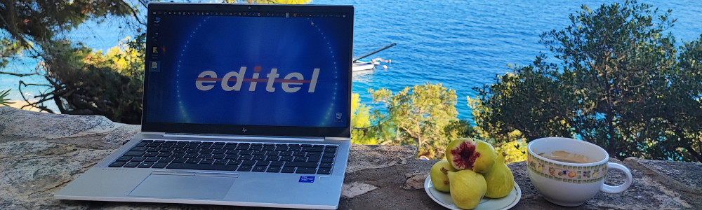 Laptop with beautiful seaview and figs